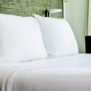 Platinum Plus Pillow